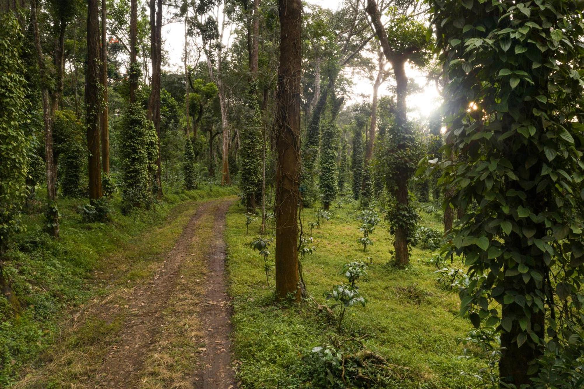 ホテル Tusker Trail By Luxunlock Suntikoppa エクステリア 写真